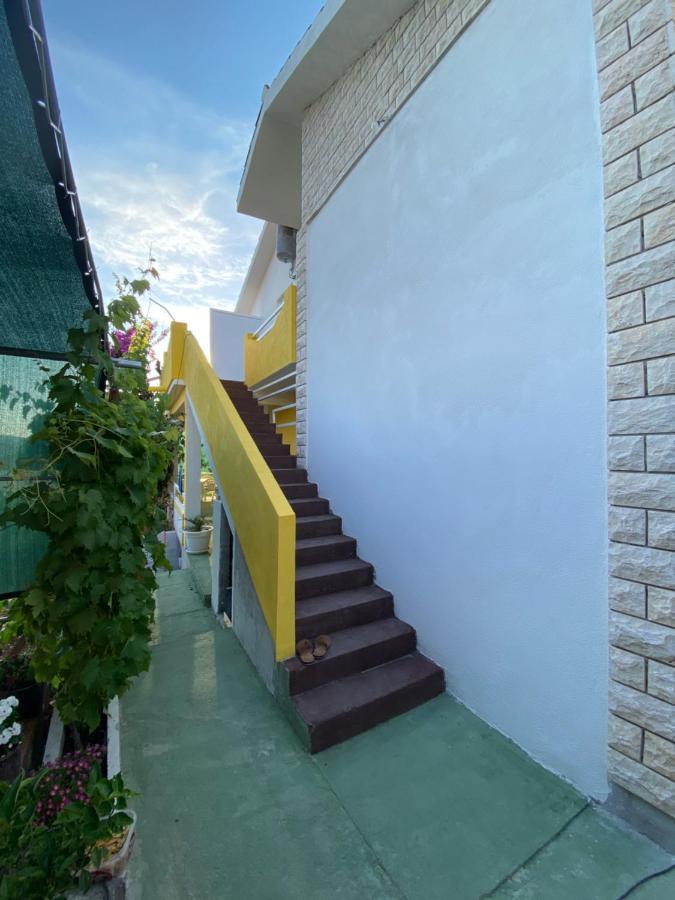 Apartment Elena Donji Okrug  Esterno foto