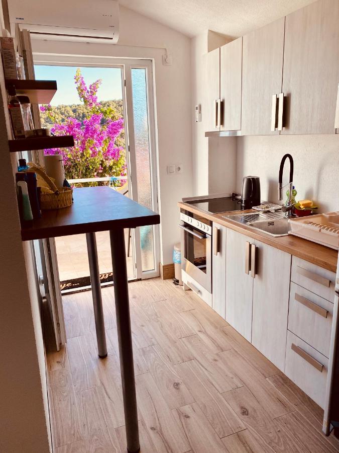 Apartment Elena Donji Okrug  Esterno foto